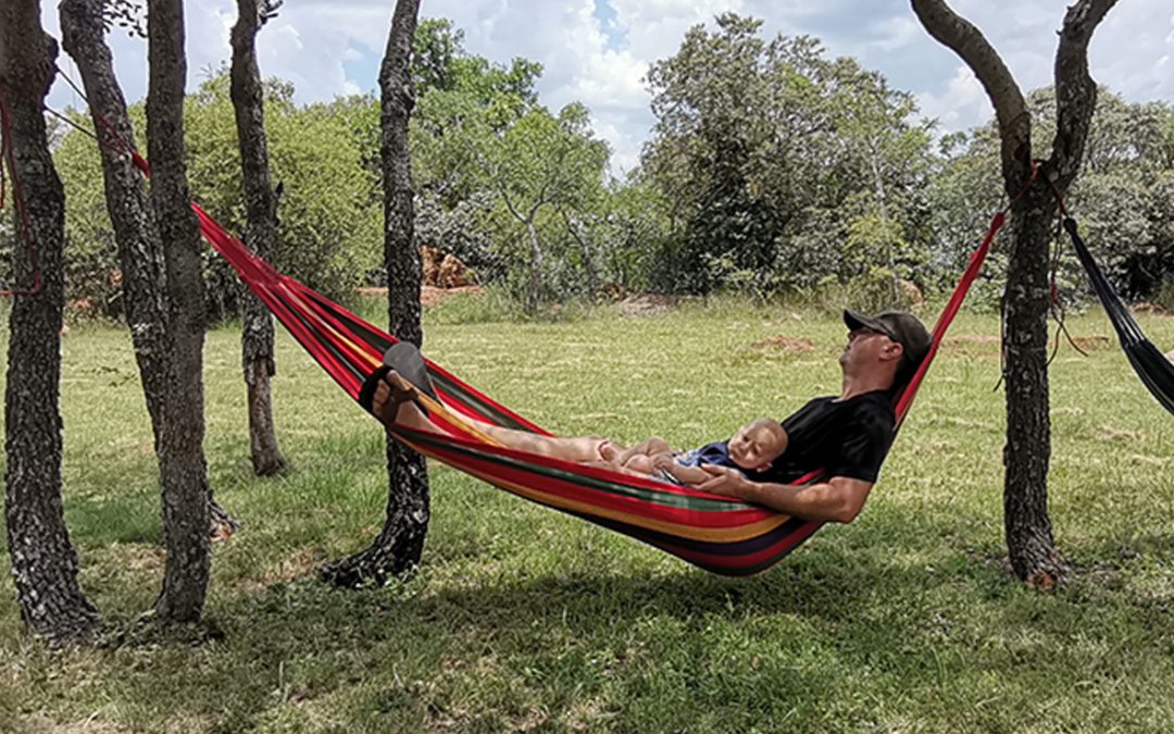 Hammock Rentals